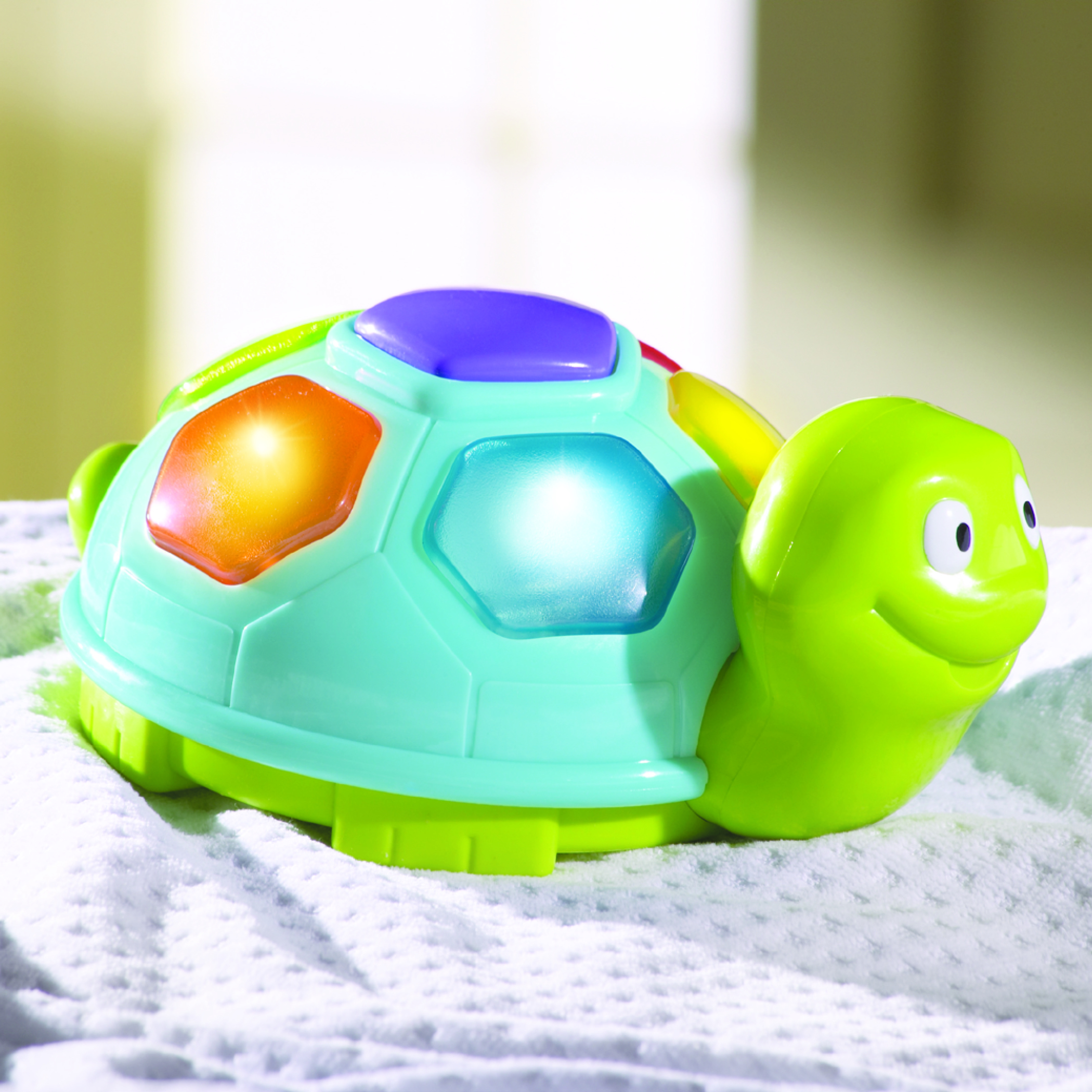 turtle music toy