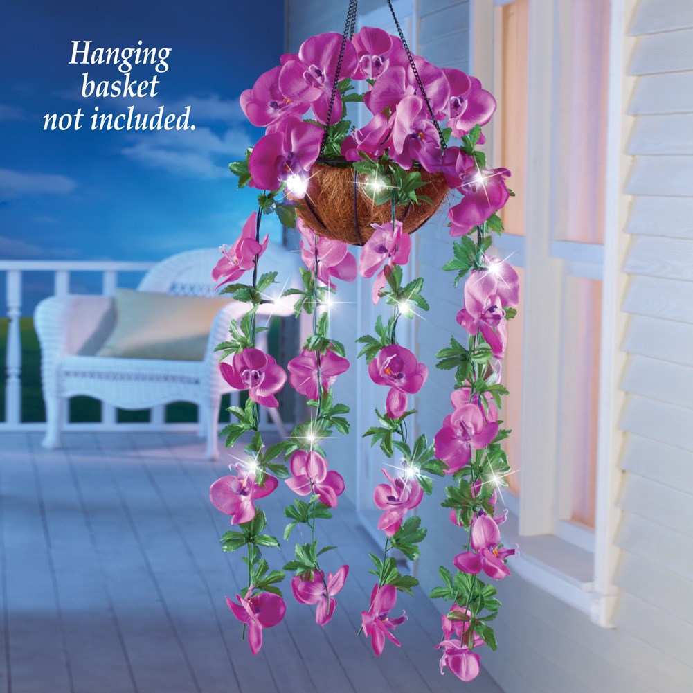 LED Lighted Hanging Orchids Collections Etc.