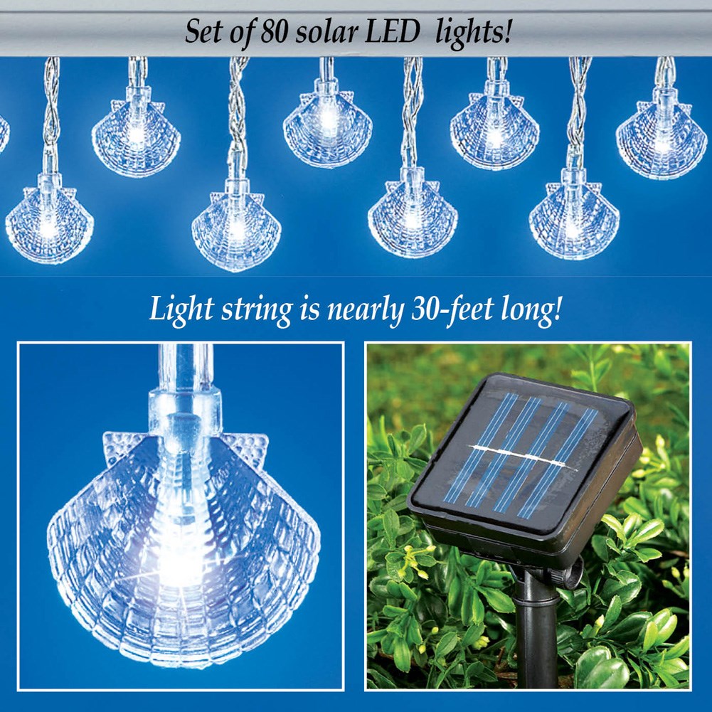 Solar Seashell String Lights Collections Etc.