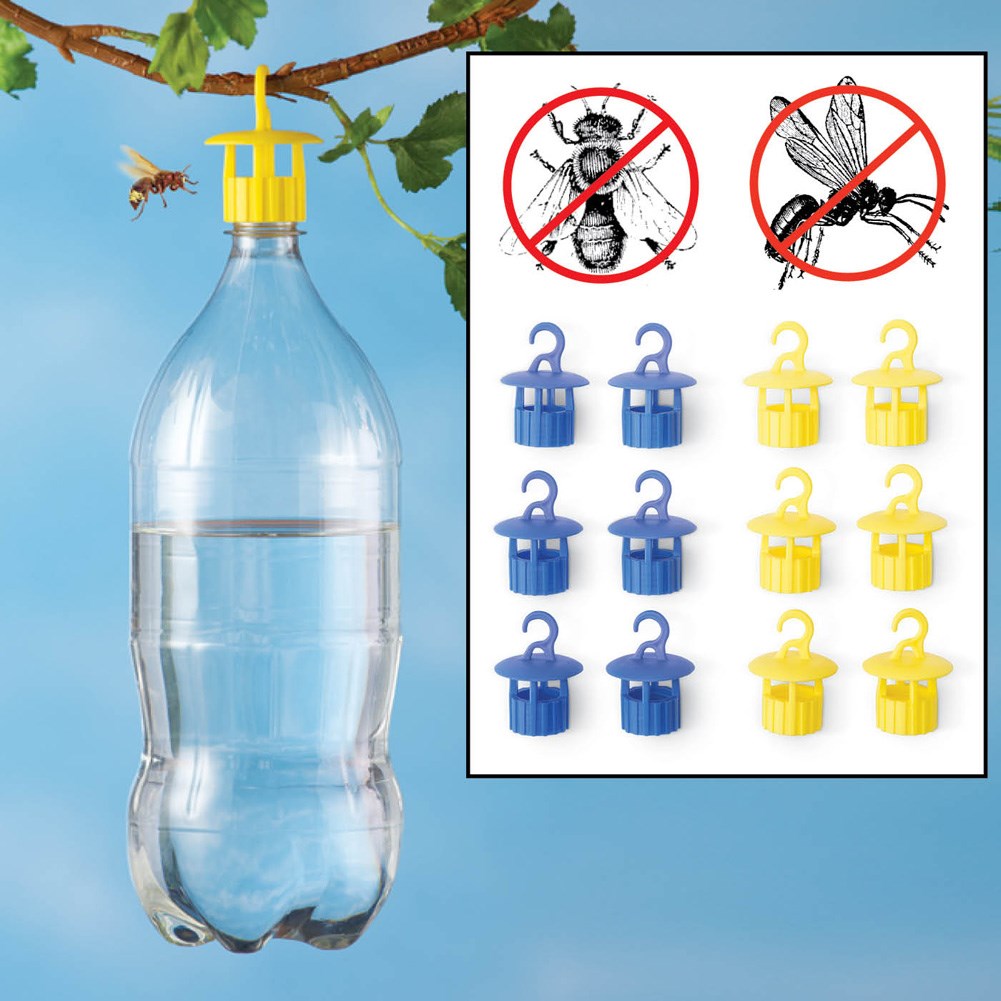 Bottle Insect Traps Set of 6 Collections Etc.