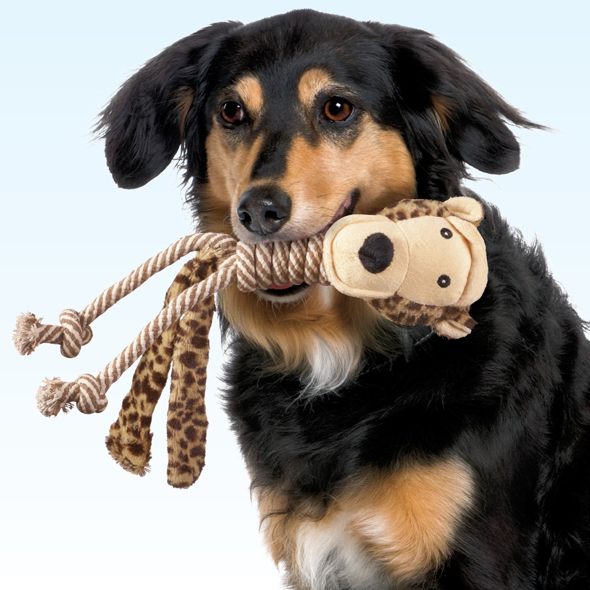 Plush and Rope Dog Toys Set of 2 Collections Etc.