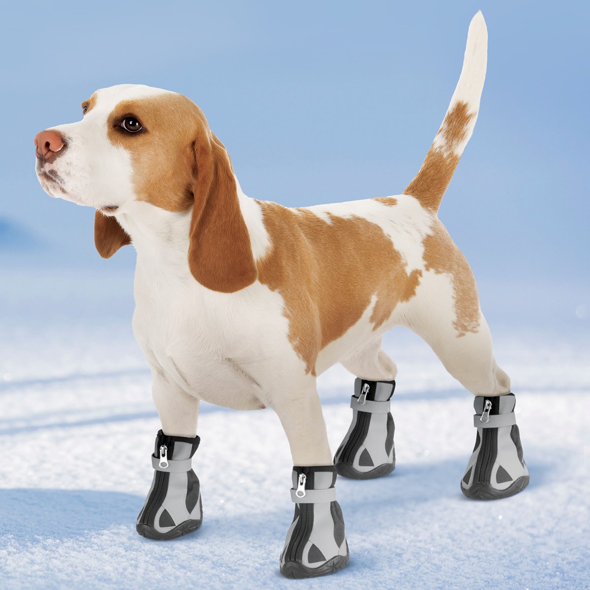 Dog Winter Booties with Traction Collections Etc.