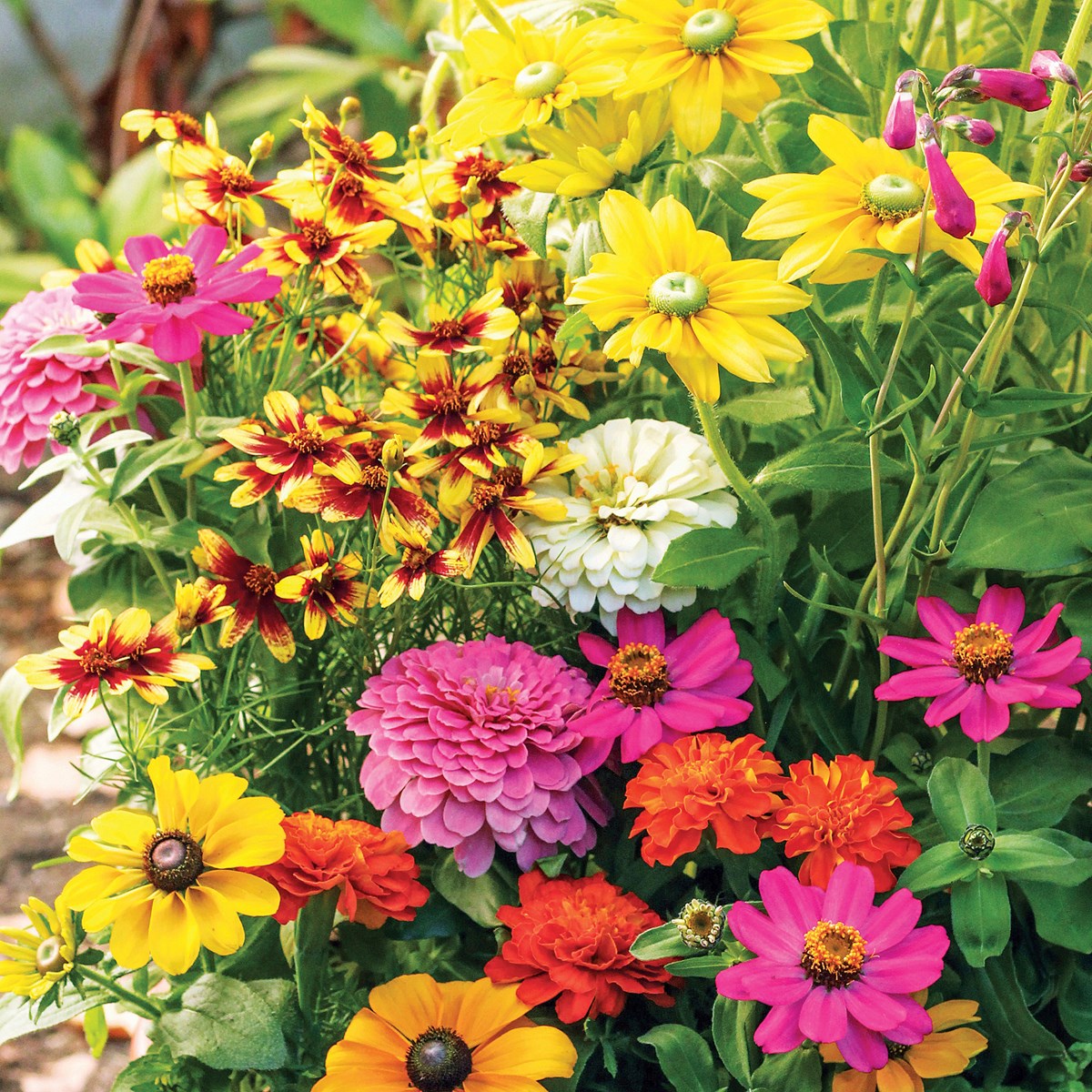 Flower Seeded Mats Set of 2 Collections Etc.