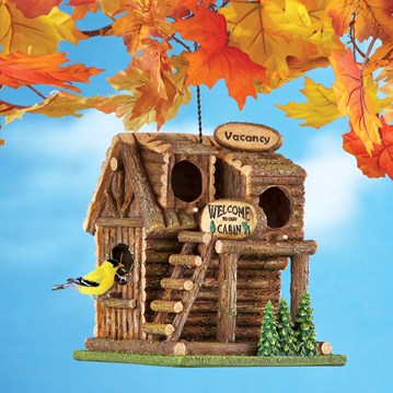Bird Houses Feeders Sale Collections Etc