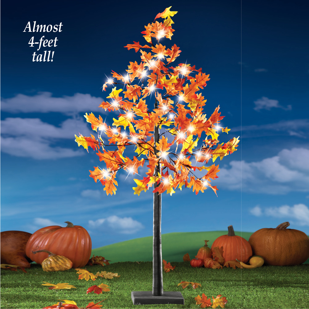 LASPERAL 22 inches 24 LED Fall Tabletop Lighted Maple Tree with Acorns Thanksgiving Centerpieces for Dining Table Battery Operated Autumns Tree with Lights Harvest Decoration Fall Light Up Tree LASPERAL 22 inches 24 LED Fall Tabletop Lighted Maple Tree with Acorns Thanksgiving Centerpieces for Dining Table Battery Operated Autumns Tree with Lights Harvest Decoration Fall Light Up Tree