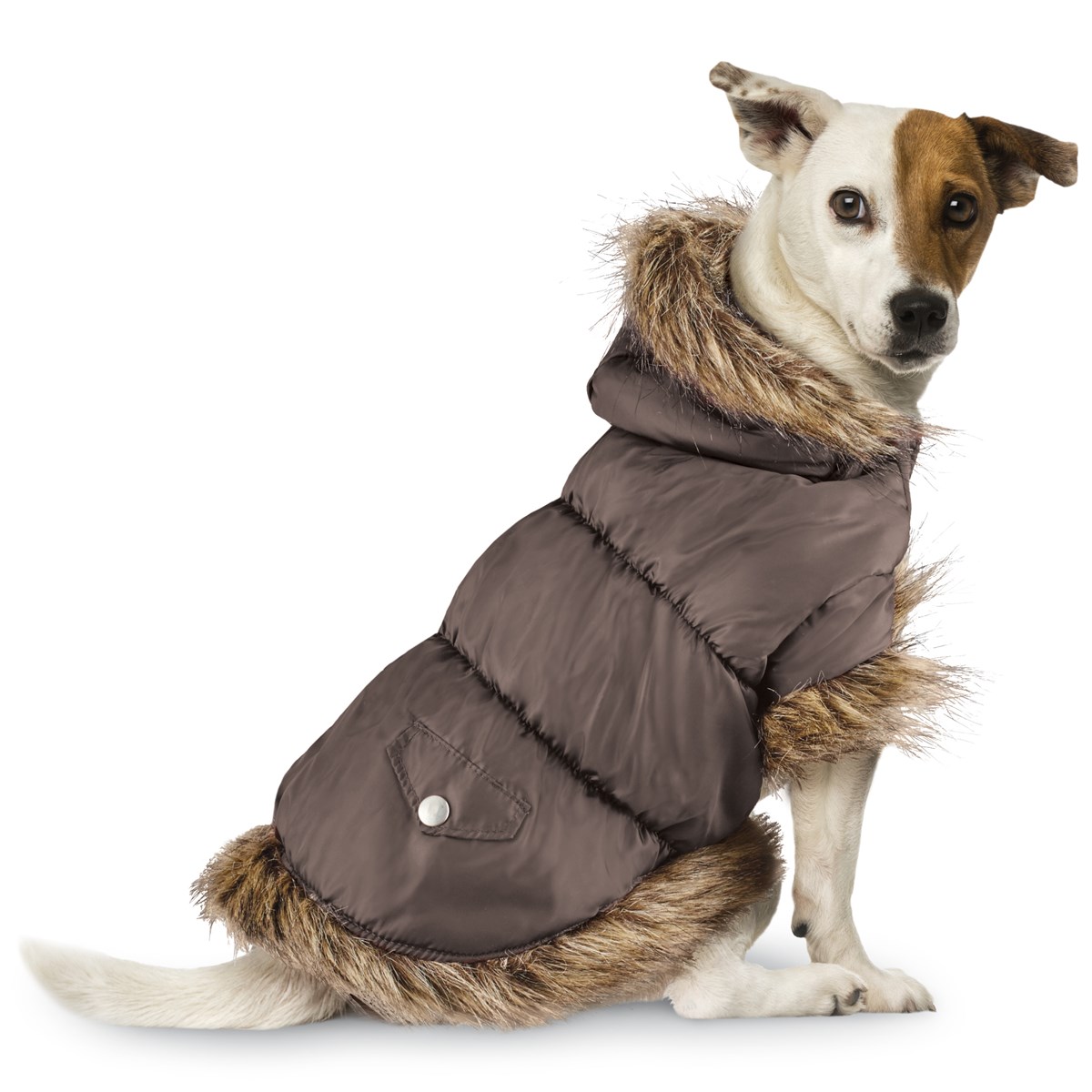 Faux Fur Trim Dog Puffer Jacket Collections Etc.