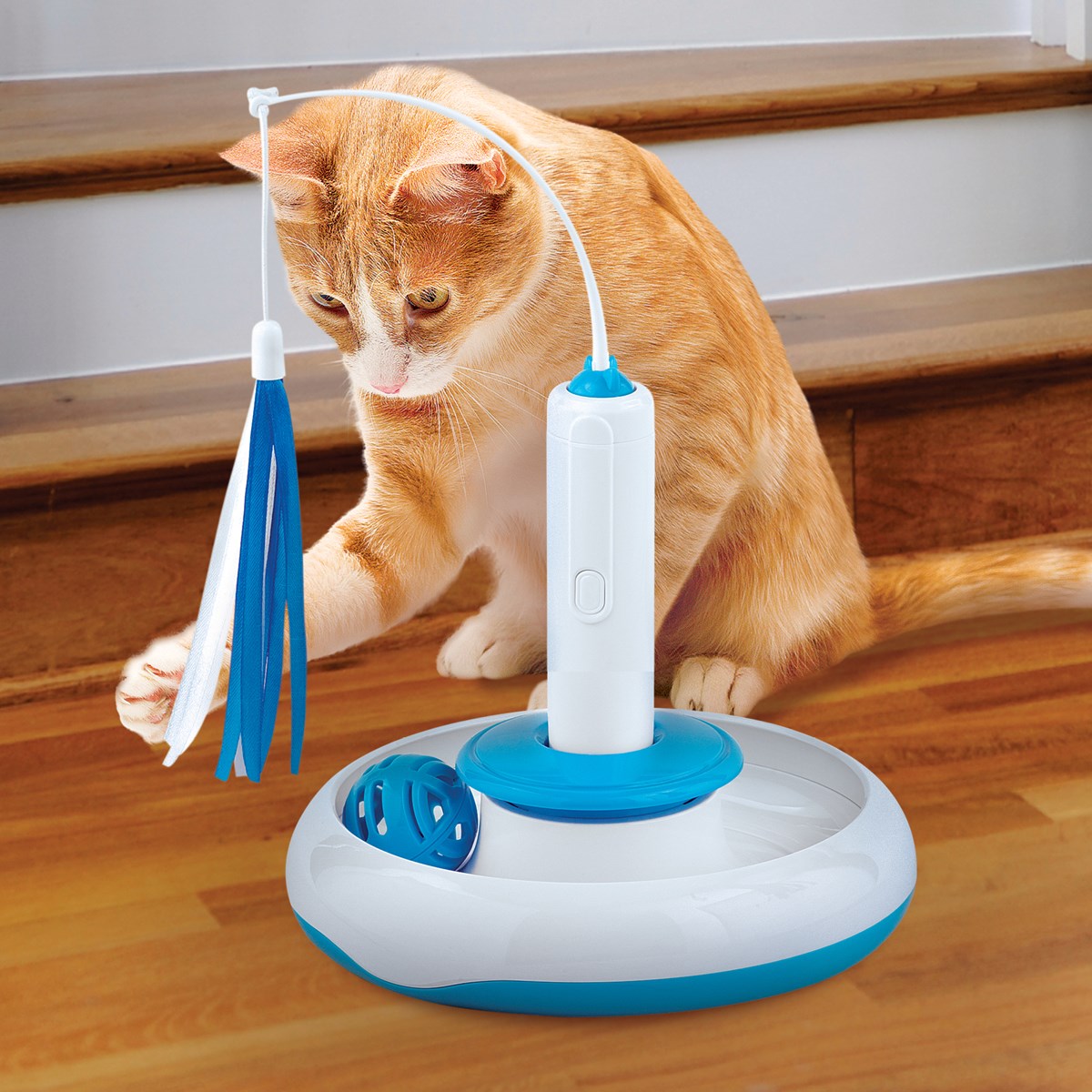 3 in 1 Interactive Cat Activity Toy Collections Etc.