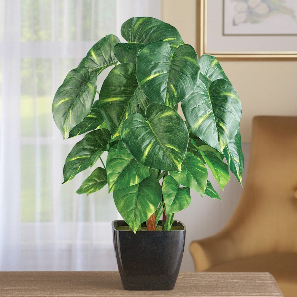 Artificial Potted Pothos Plant Collections Etc.