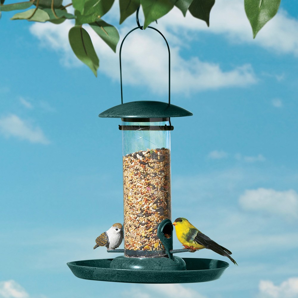 Classic Hanging Wild Bird Tube Feeder | Collections Etc.