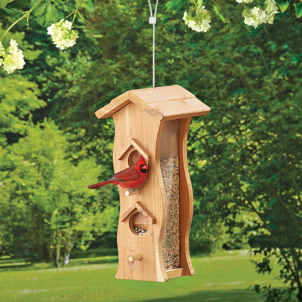 Cedar Wood Clear Hanging Bird Feeder Collections Etc.