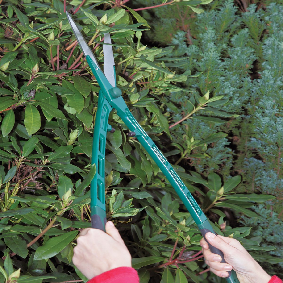 Razor Sharp Lightweight Hedge Shears Collections Etc.