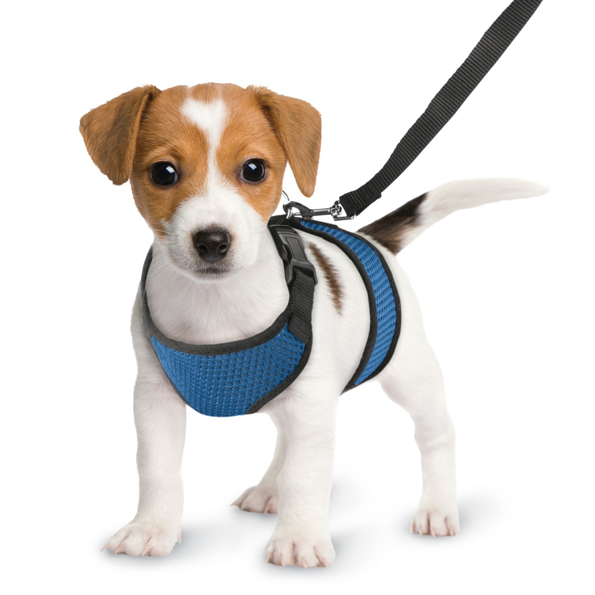 Comfy & Soft Lightweight Dog Harness and Leash Set Collections Etc.