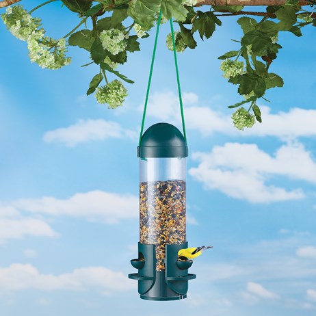 Large Clear Tube Hanging Bird Feeder 3 Perches Collections Etc