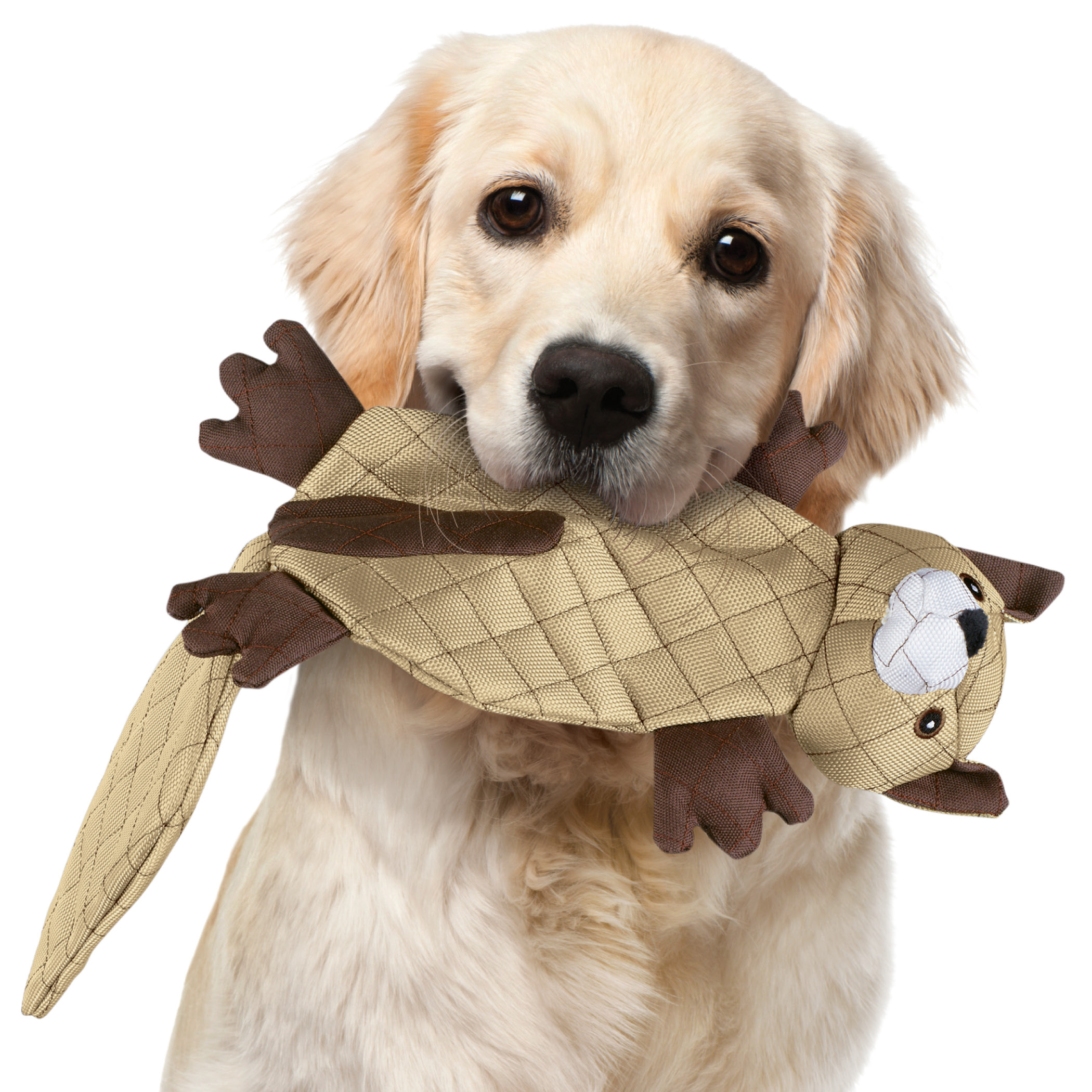 strong plush dog toys