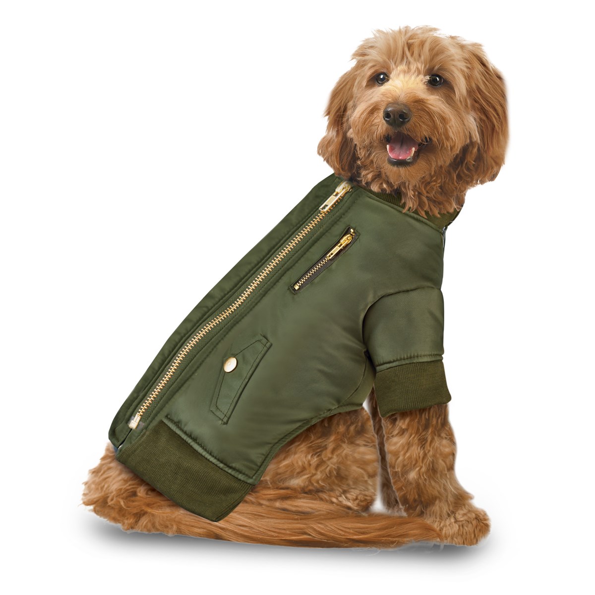 Dog Bomber Jacket With Zipper Collections Etc.