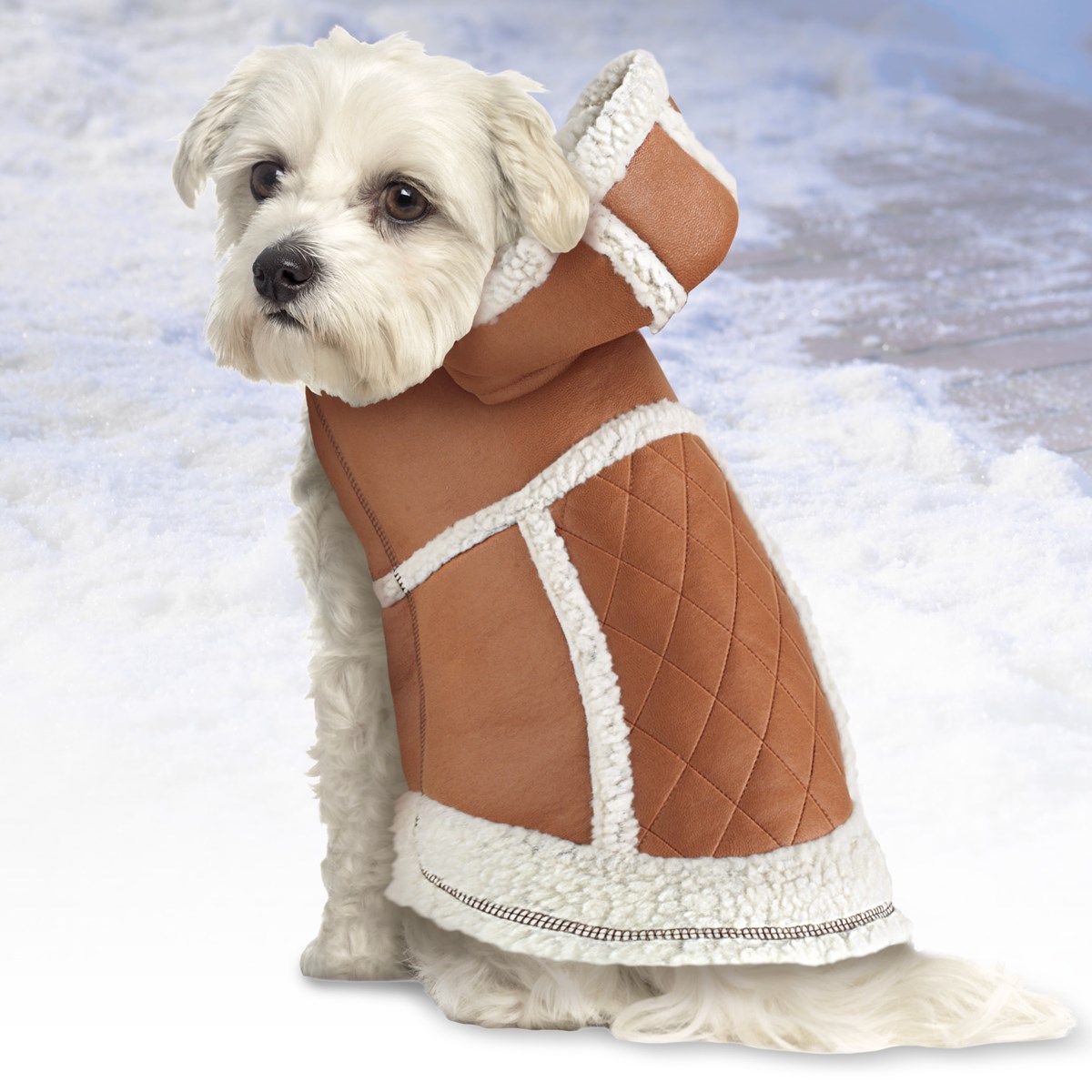 Quilted Dog Coat With Hood Collections Etc.