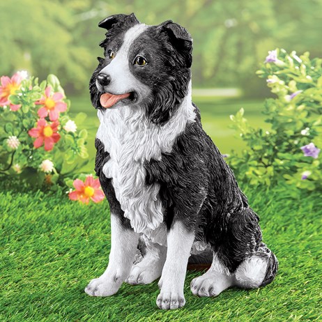 Black And White Border Collie Garden Statue
