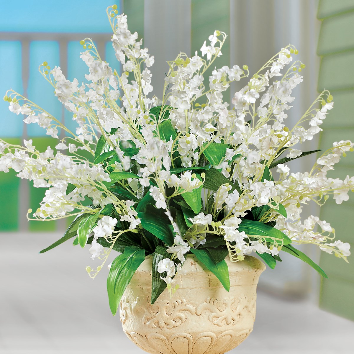 Lily of the Valley Bushes Set of 3 Collections Etc.