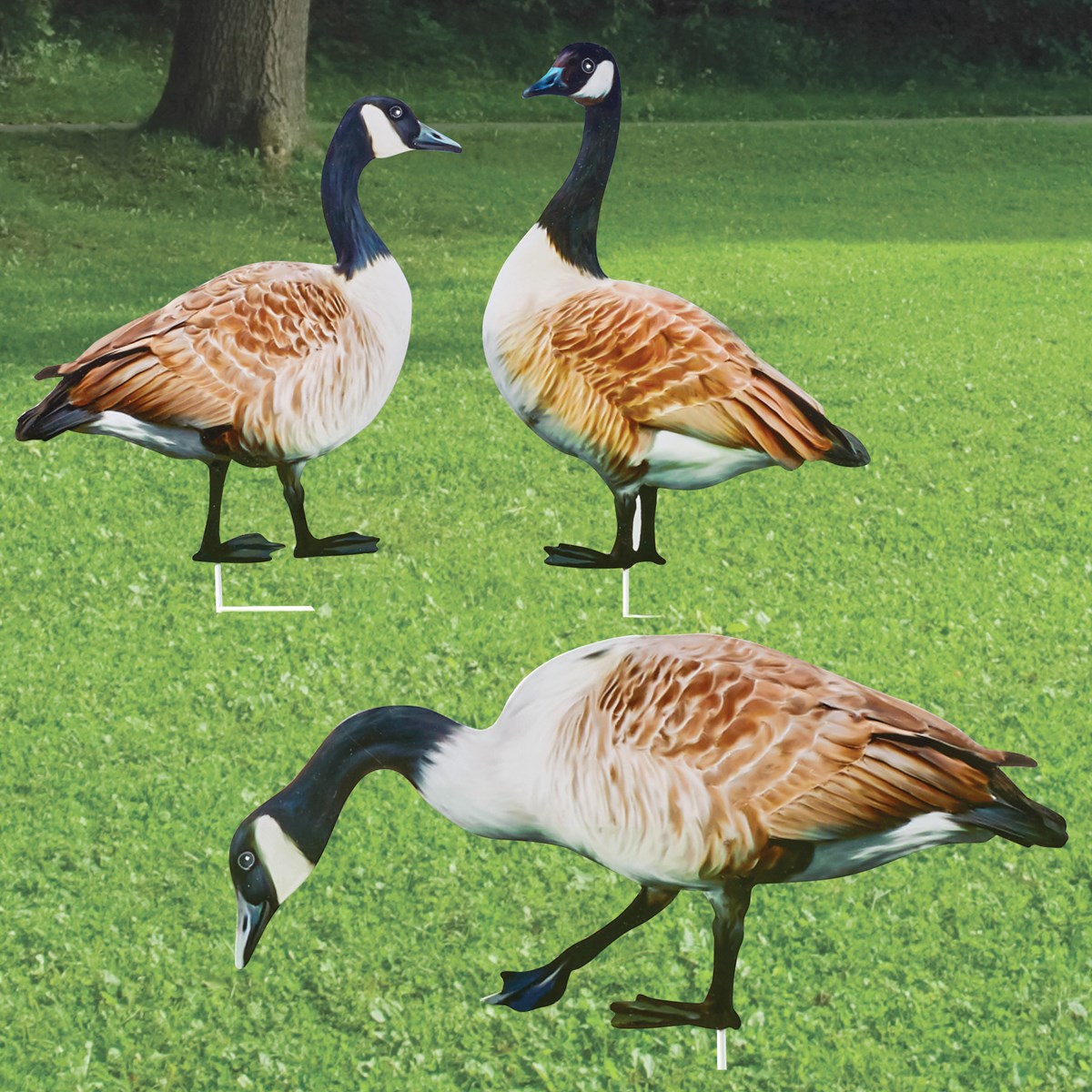 Realistic Geese Metal Yard Stakes Set of 3 Collections Etc.