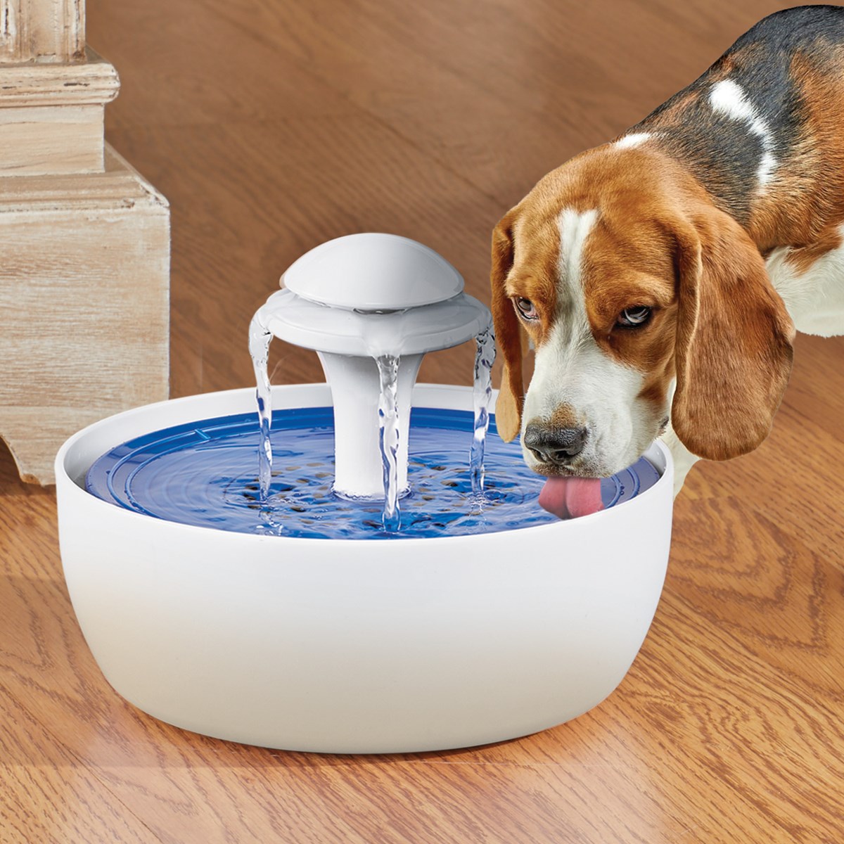 Automatic Pet Water Fountain with Charcoal Filter Collections Etc.