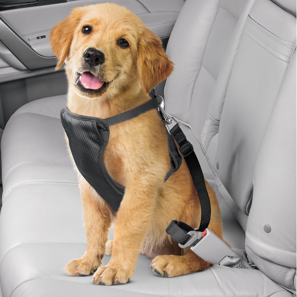 Adjustable Pet Safety Belt Harness and Leash Collections Etc.