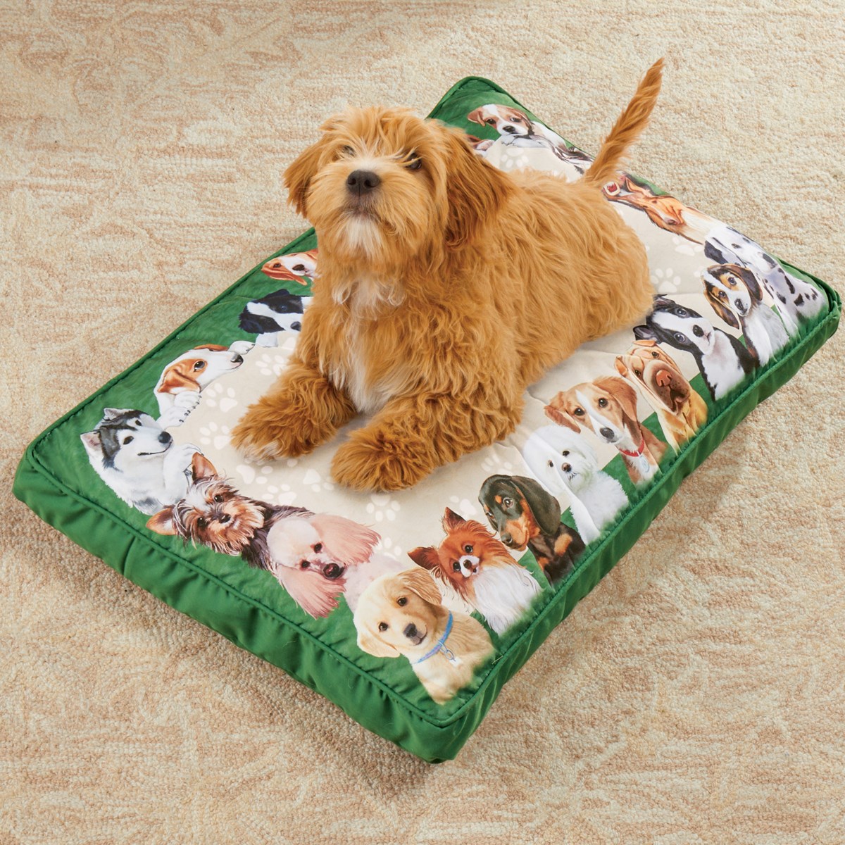 Pet Pillow Bed with Sentimental Saying Collections Etc.