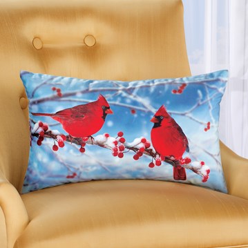 Accent Pillows Decorative Throw Pillows Covers Collections Etc