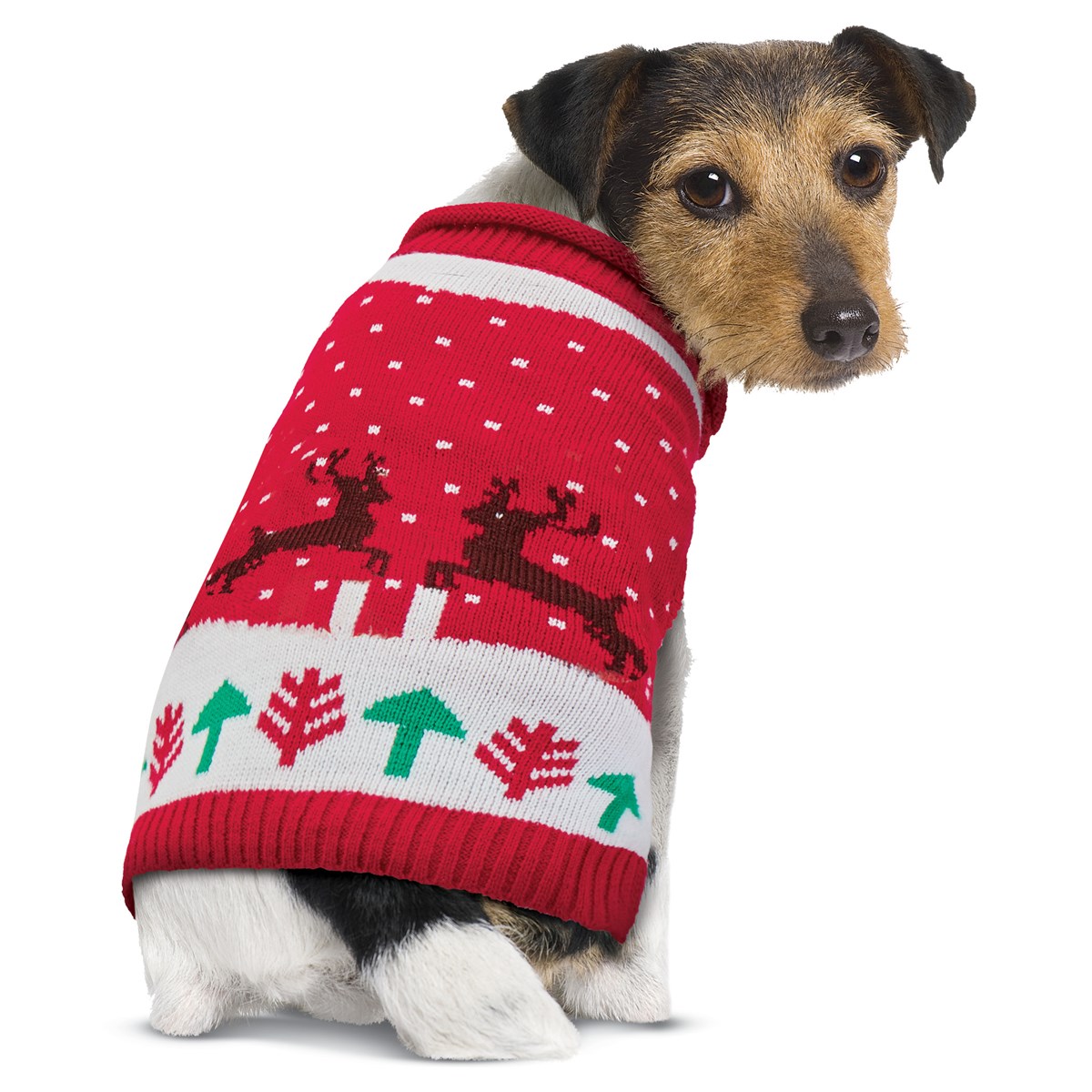 Festive Reindeer Holiday Dog Sweater Collections Etc.