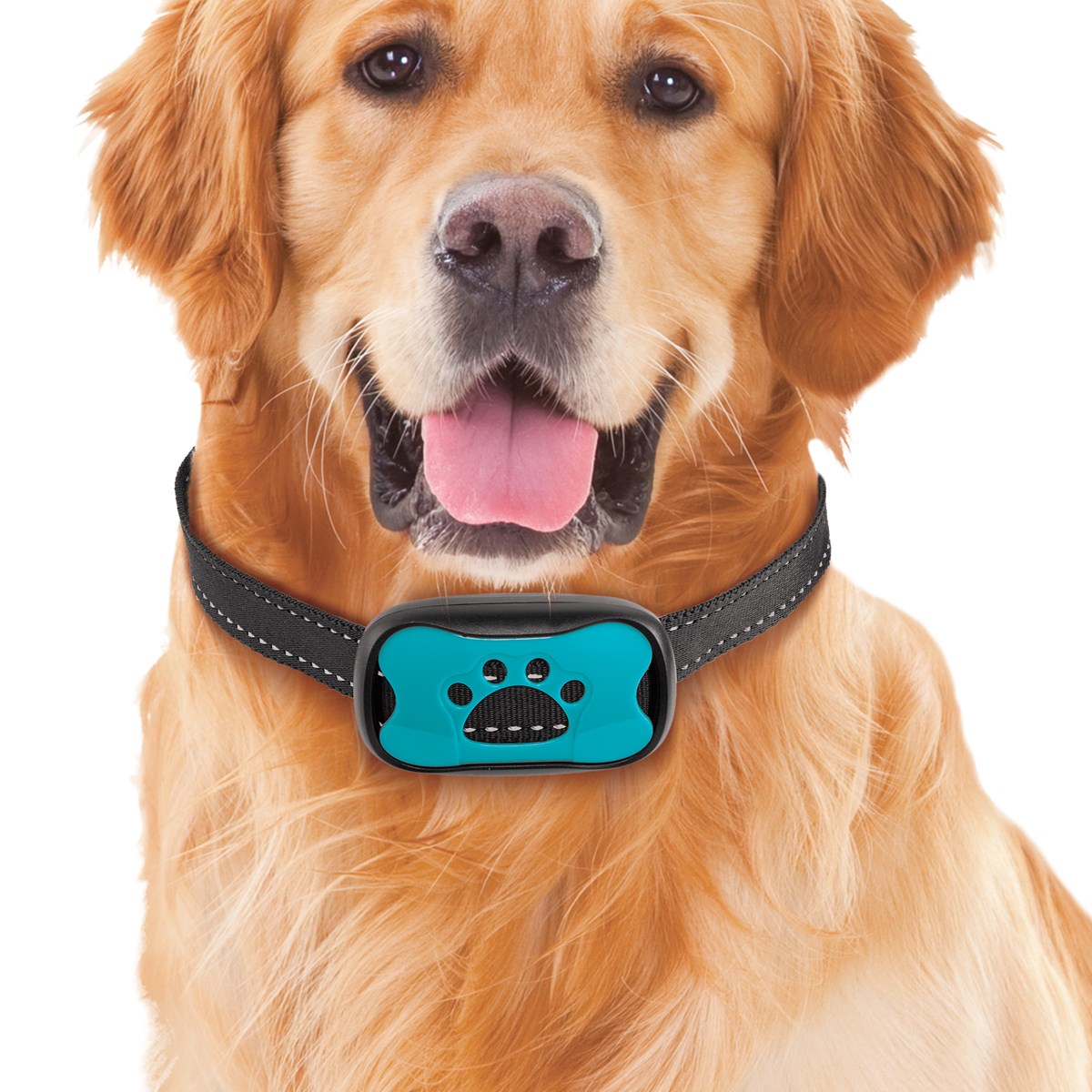 Humane HighFrequency AntiBark Dog Collar Collections Etc.
