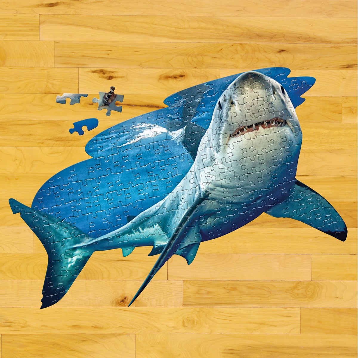 100Piece Shark Jigsaw Puzzle Collections Etc.