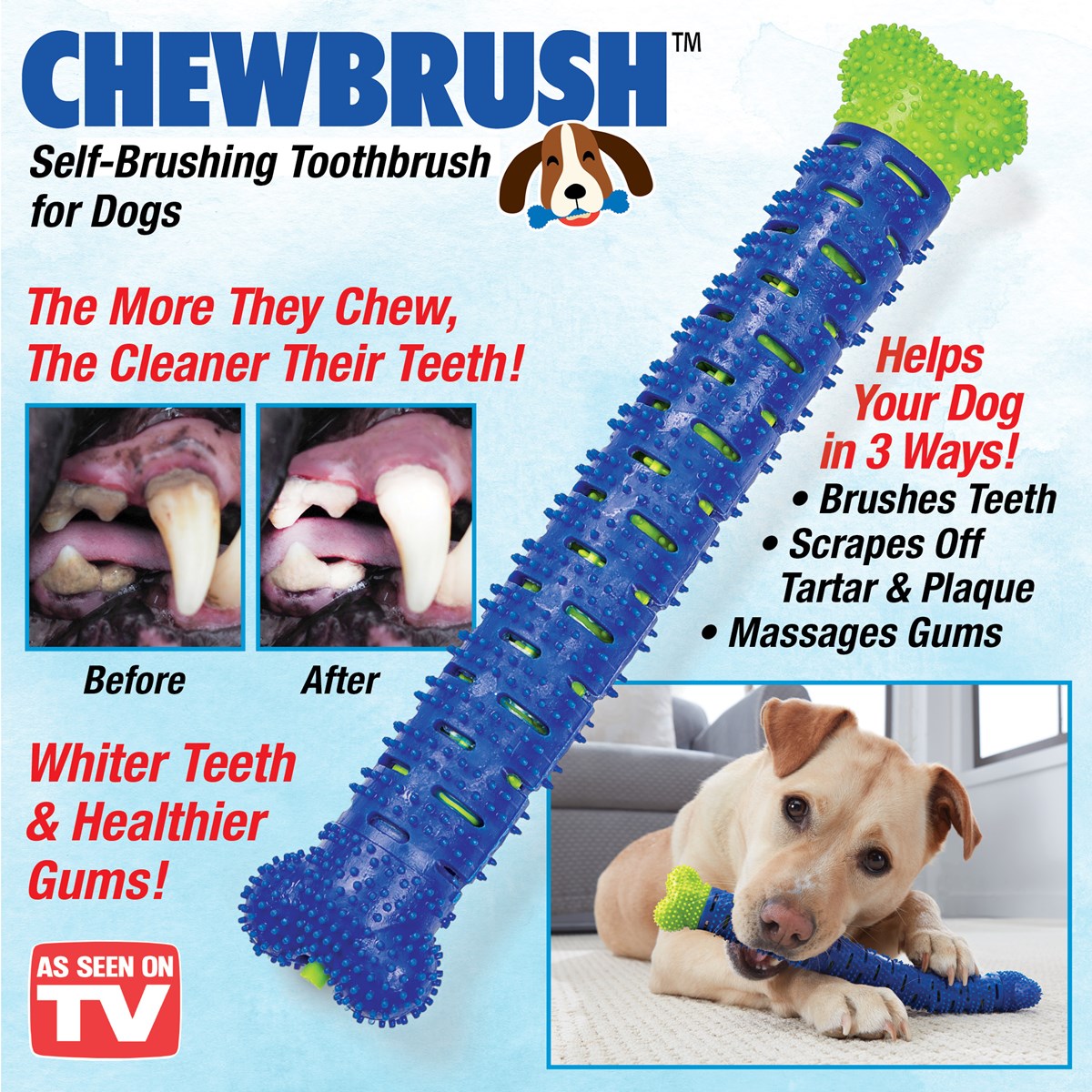 ChewBrush Pet SelfBrushing Toothbrush Collections Etc.