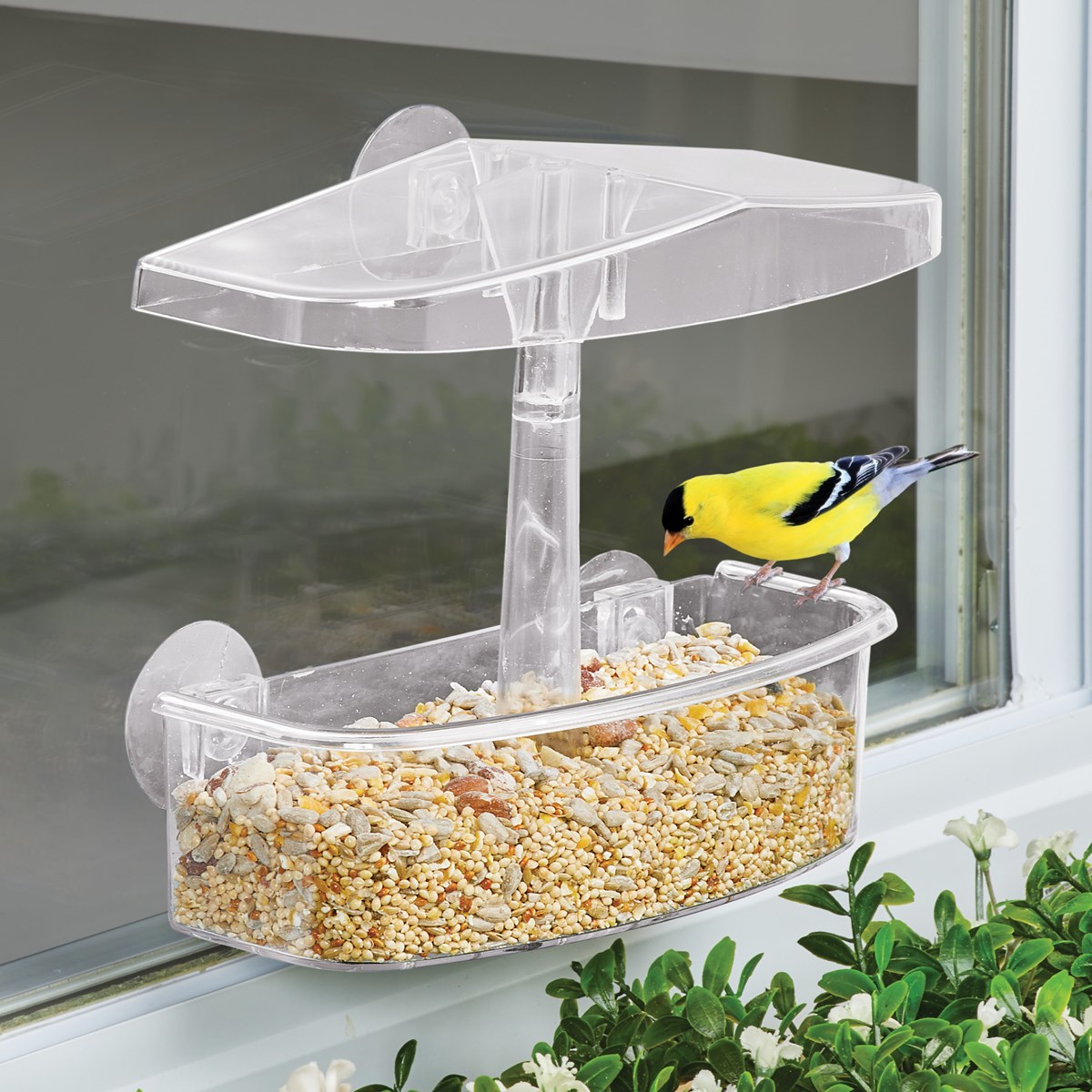 EasytoInstall Clear Suction Cup Window Bird Feeder Collections Etc.
