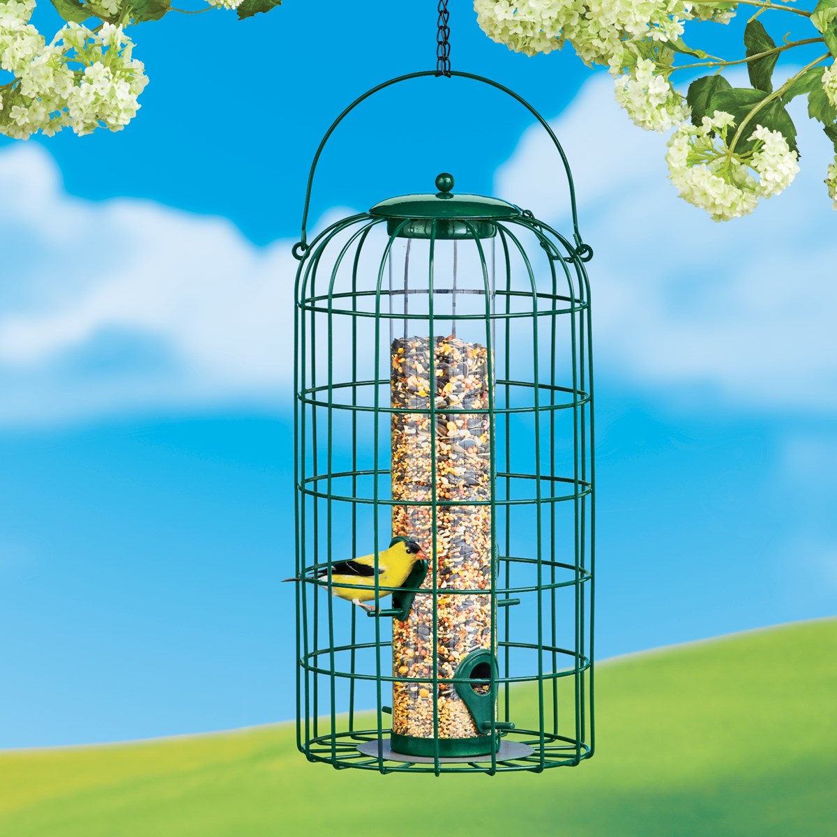 Squirrel Proof Caged Clear Tube Bird Feeder Collections Etc.