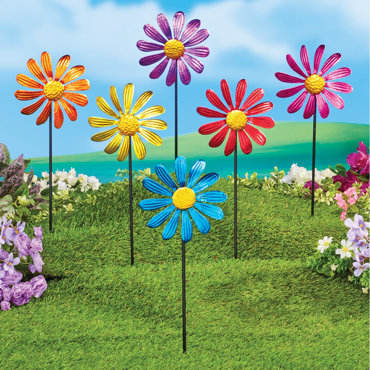 Set Of 6 Daisy Spinners Collections Etc.