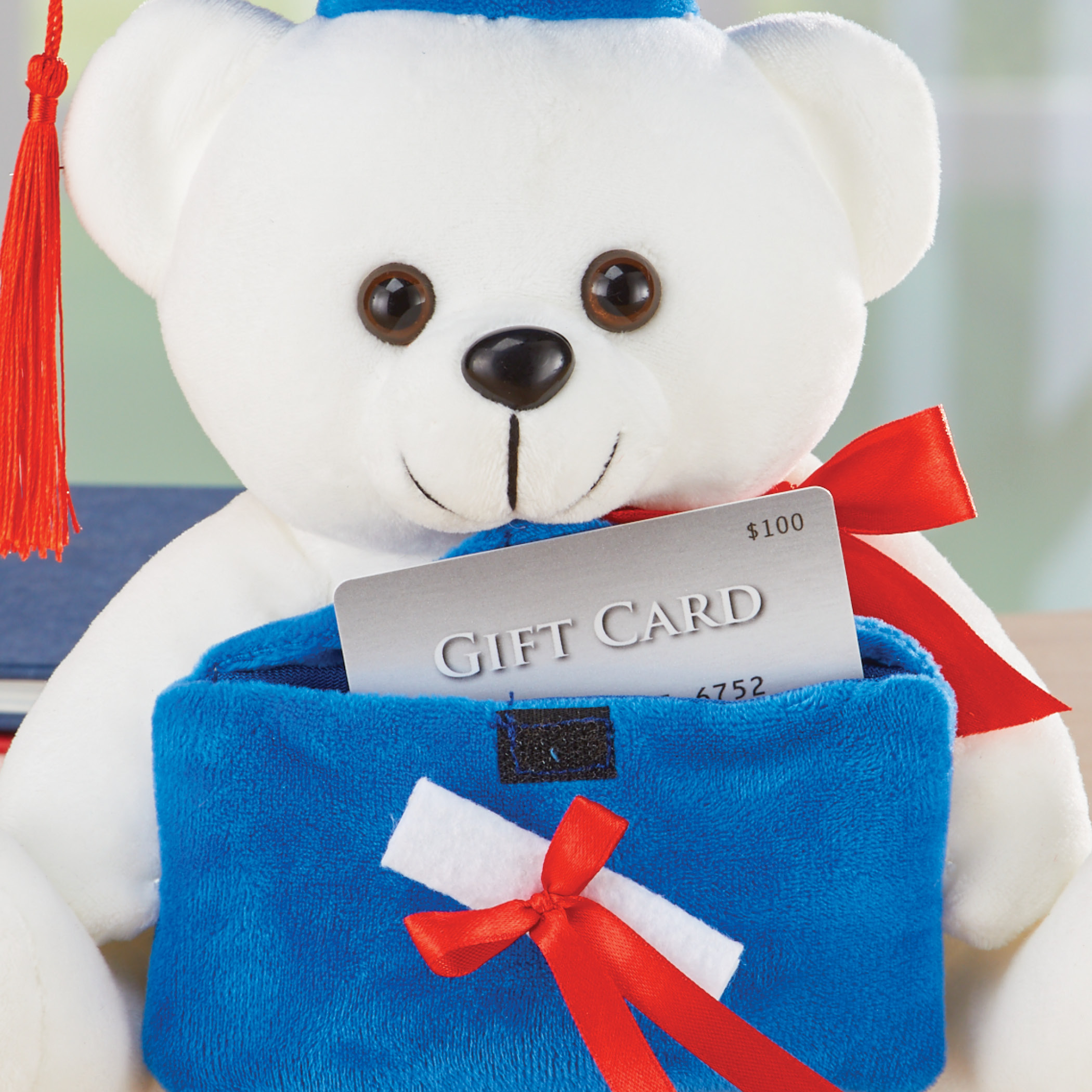 graduation teddy bear clintons
