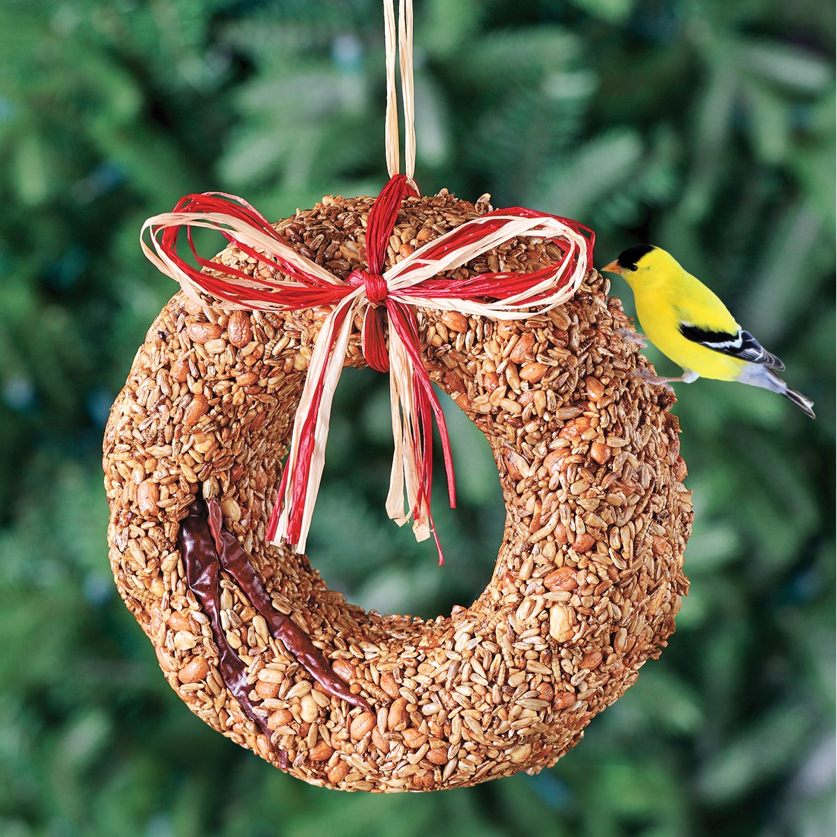 Flaming Hot Edible Bird Seed Hanging Wreath Collections Etc.