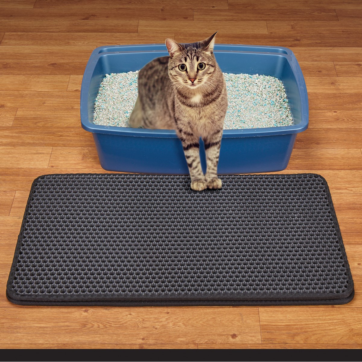 2Layer Leak Proof Kitty Litter Mat Collections Etc.
