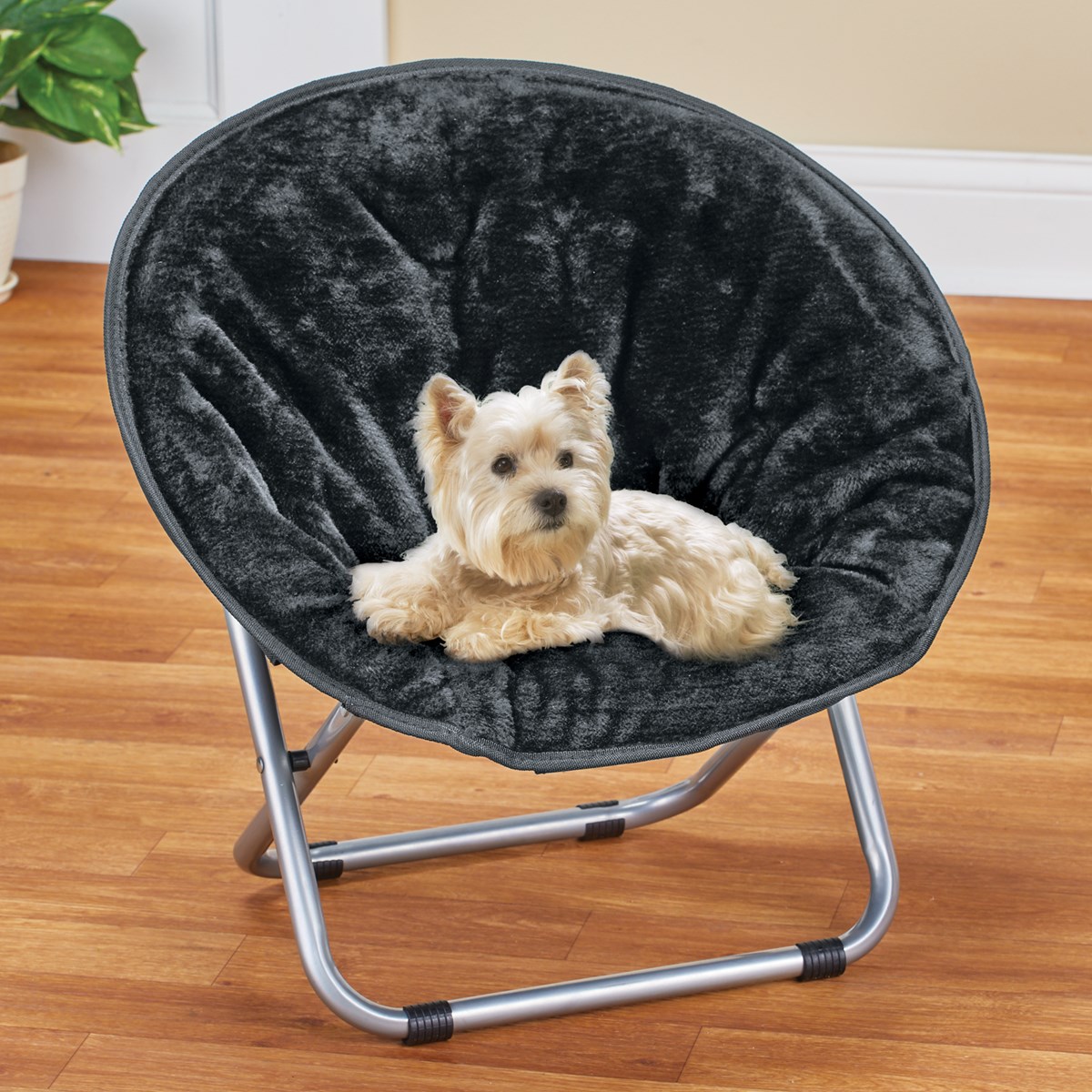 Soft and Cozy Fold Up Black Pet Bed Chair Collections Etc.