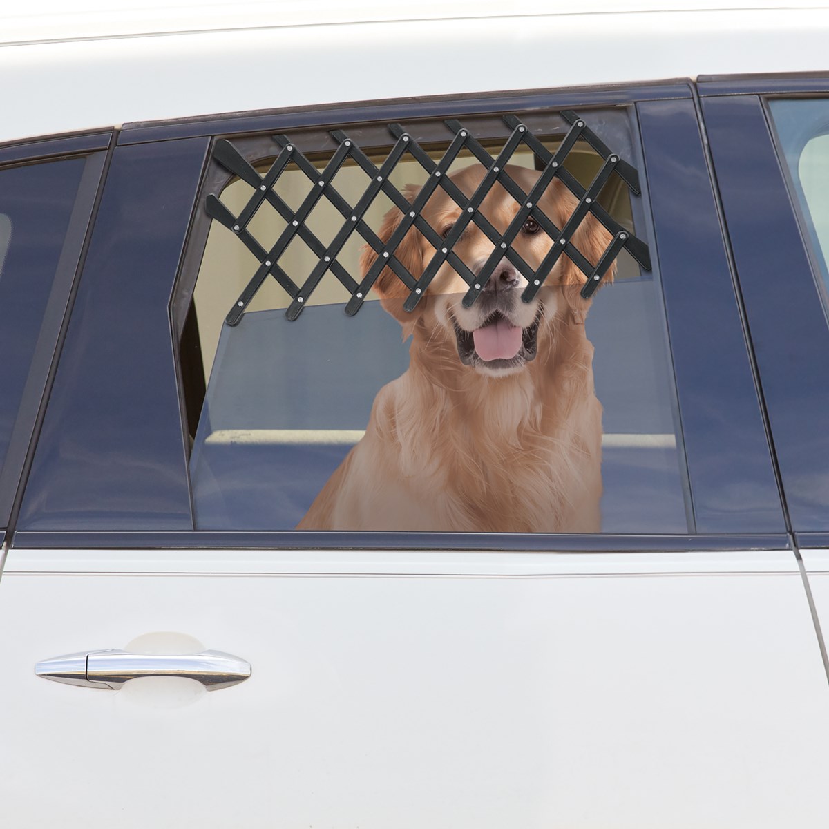 Expandable Dog Car Window Guard Gate Vent Collections Etc.
