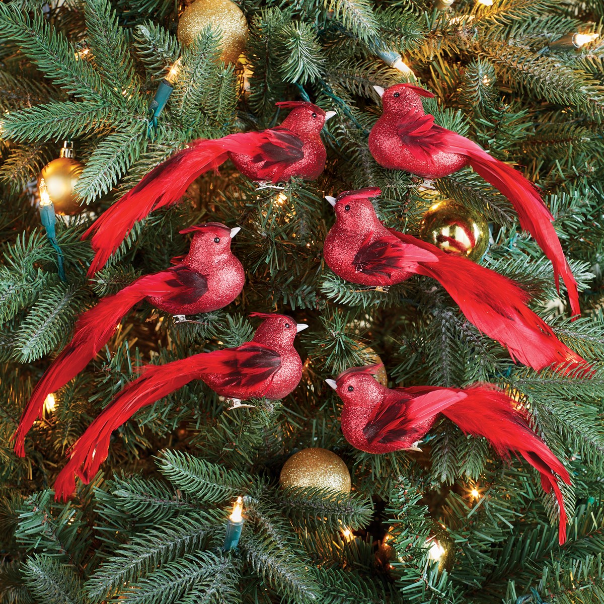 Festive Red Bird Holiday Clip Ornaments Set of 6 Collections Etc.