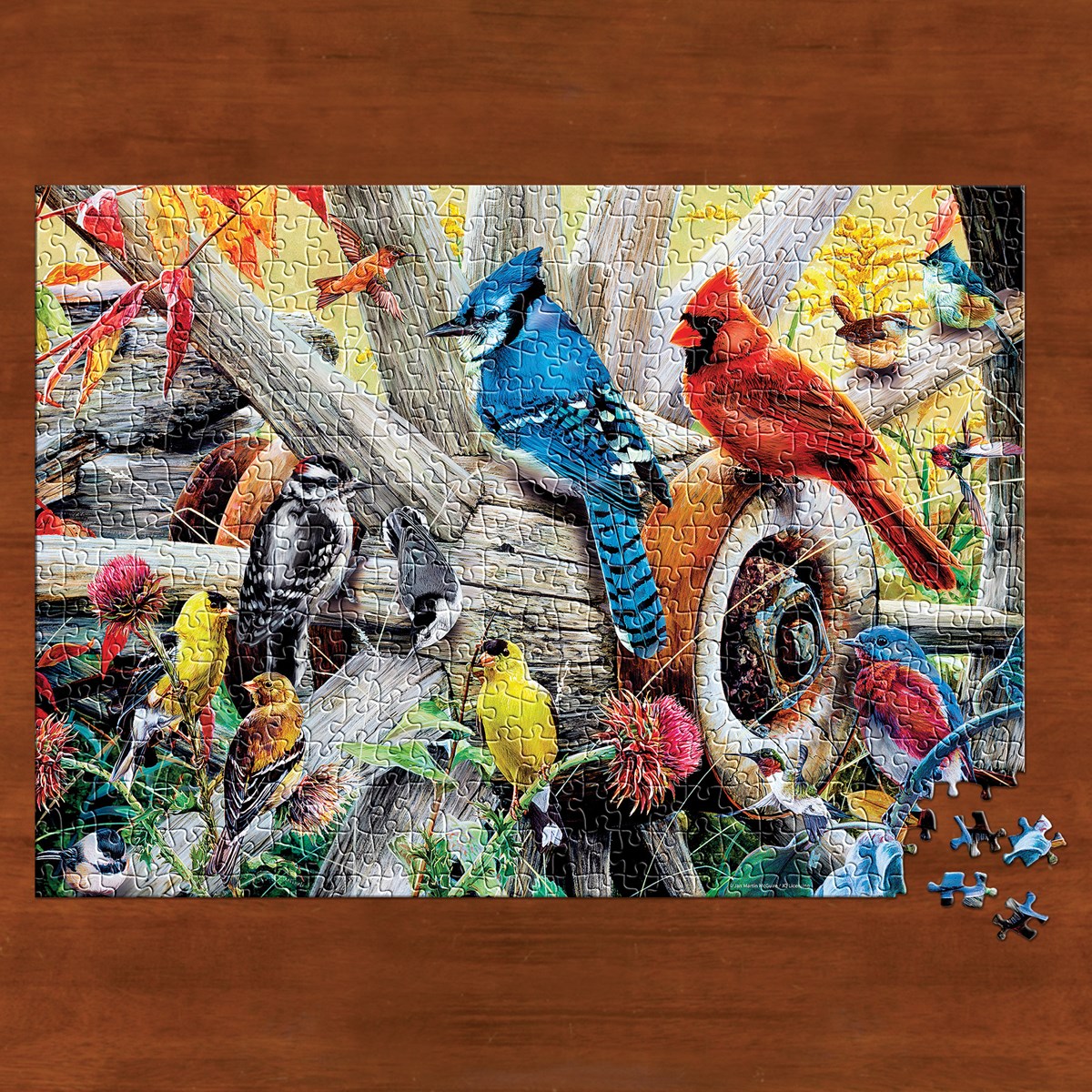 Colorful Backyard Birds Jigsaw Puzzle 1000 Pieces Collections Etc.
