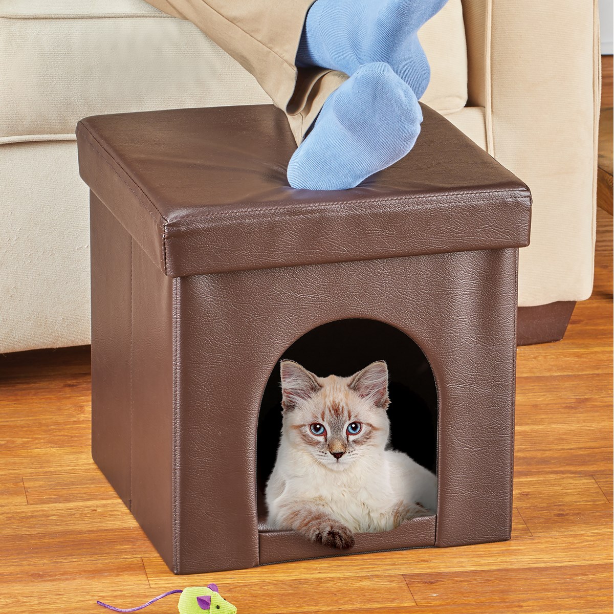 2in1 Padded Pet Ottoman with Removable Lid Collections Etc.