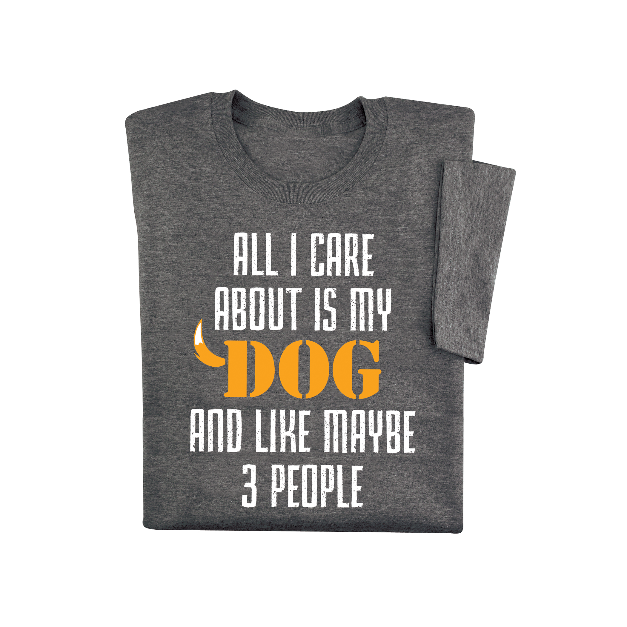 All I Care About Is My Dog And Maybe 3 People T-Shirt X-Large Charcoal