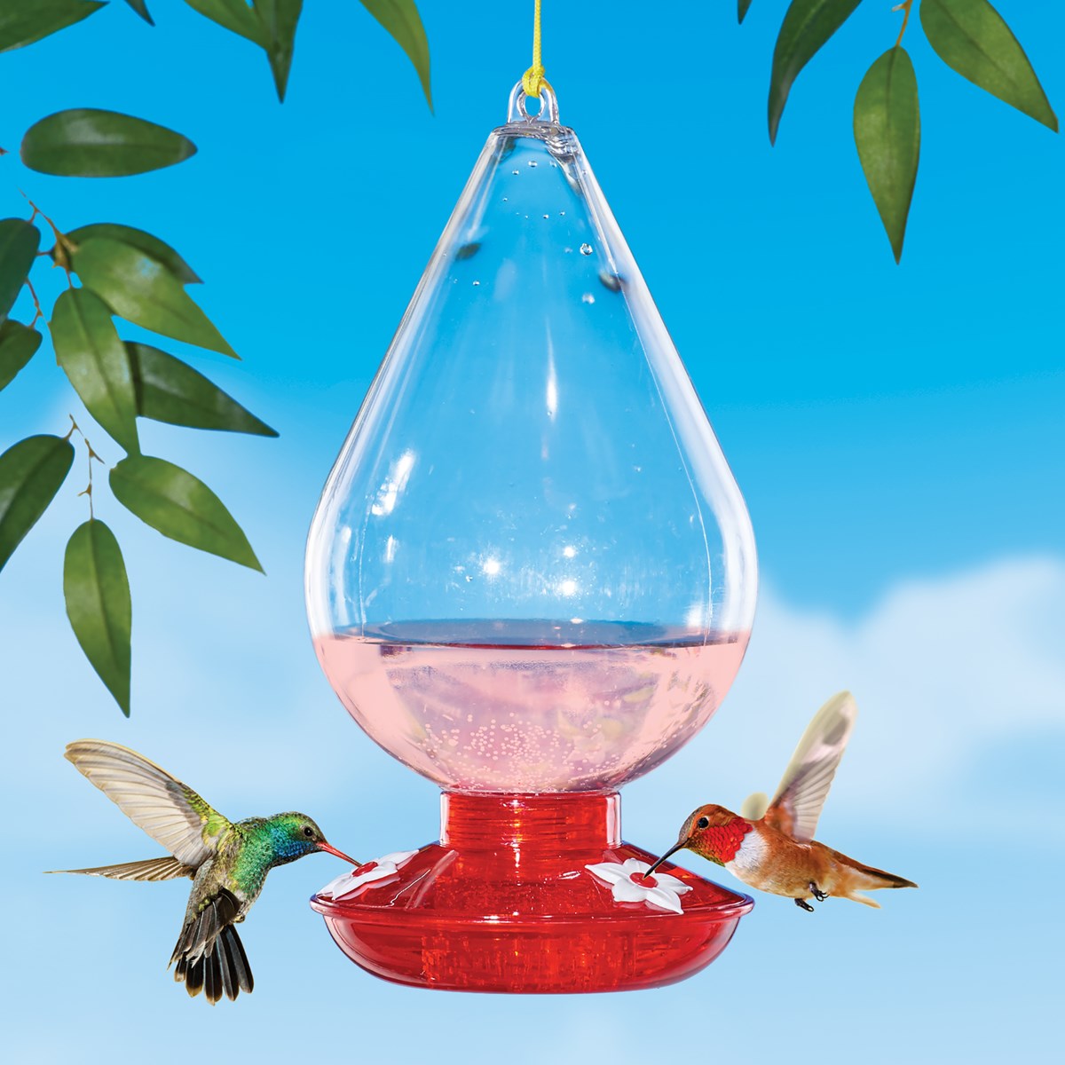 Teardrop Hummingbird Feeder with 3 Feeding Stations Collections Etc.