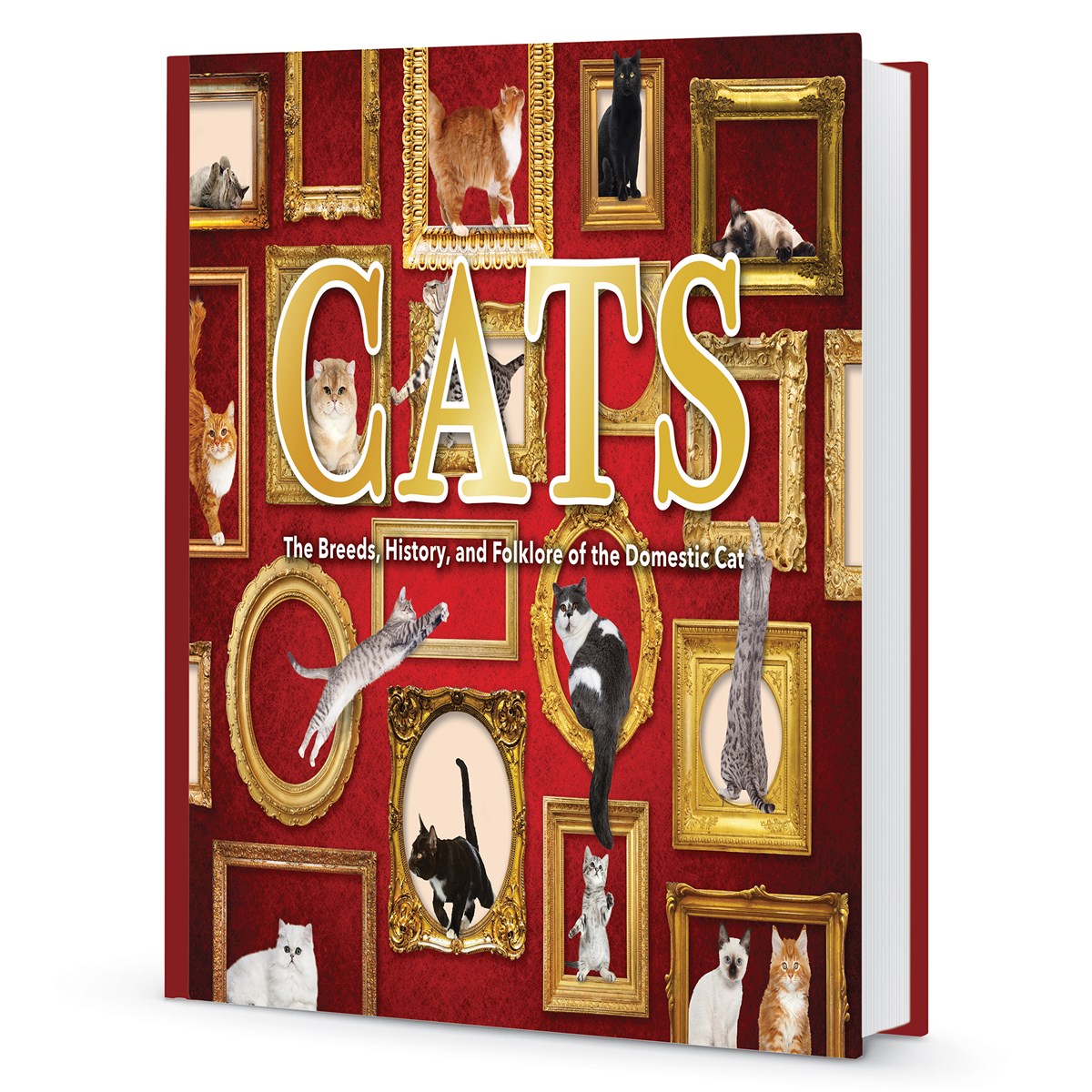 Cats The Breeds History and Folklore of the Domestic Cat Book