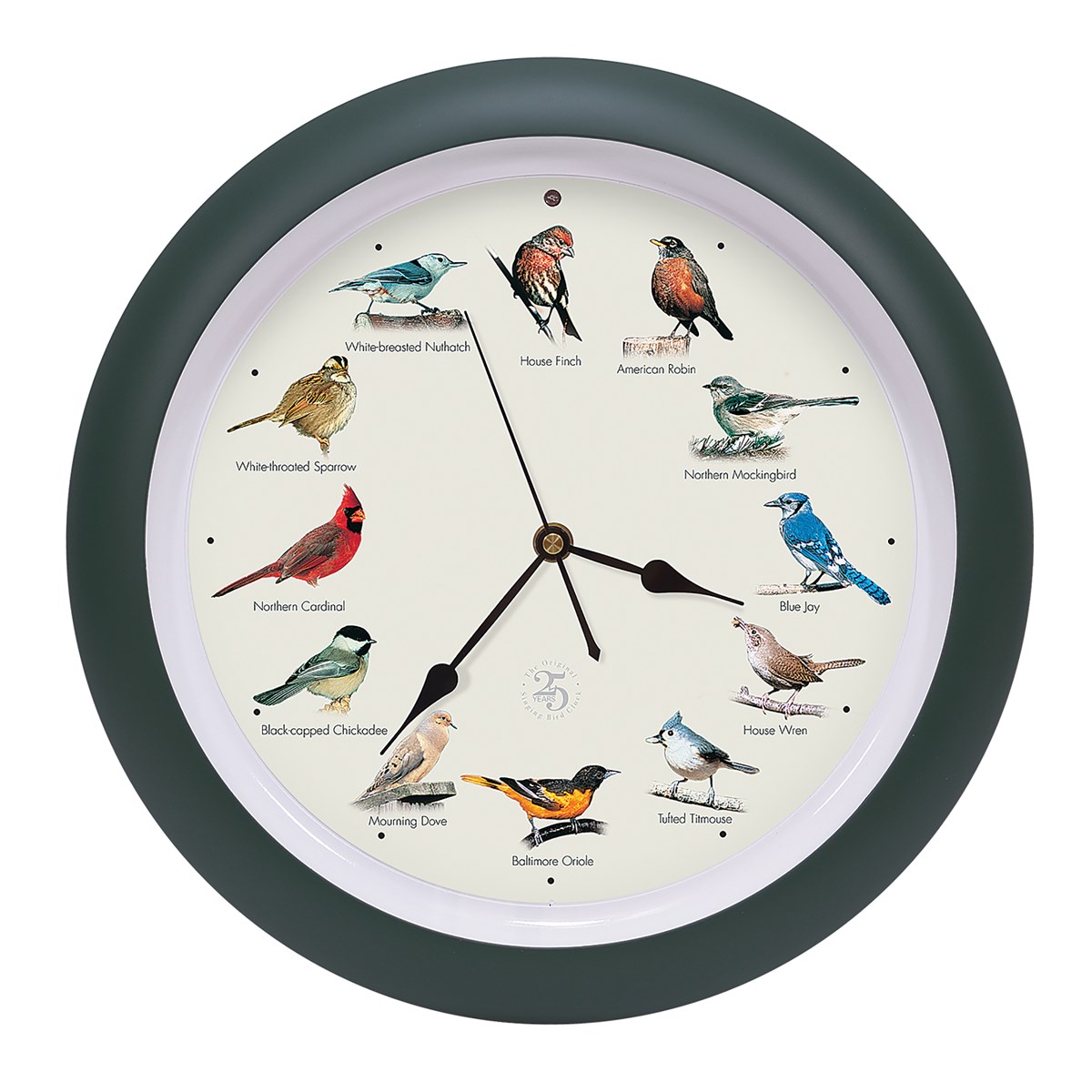 The Original Singing Bird Wall Clock with Bonus Field Guide