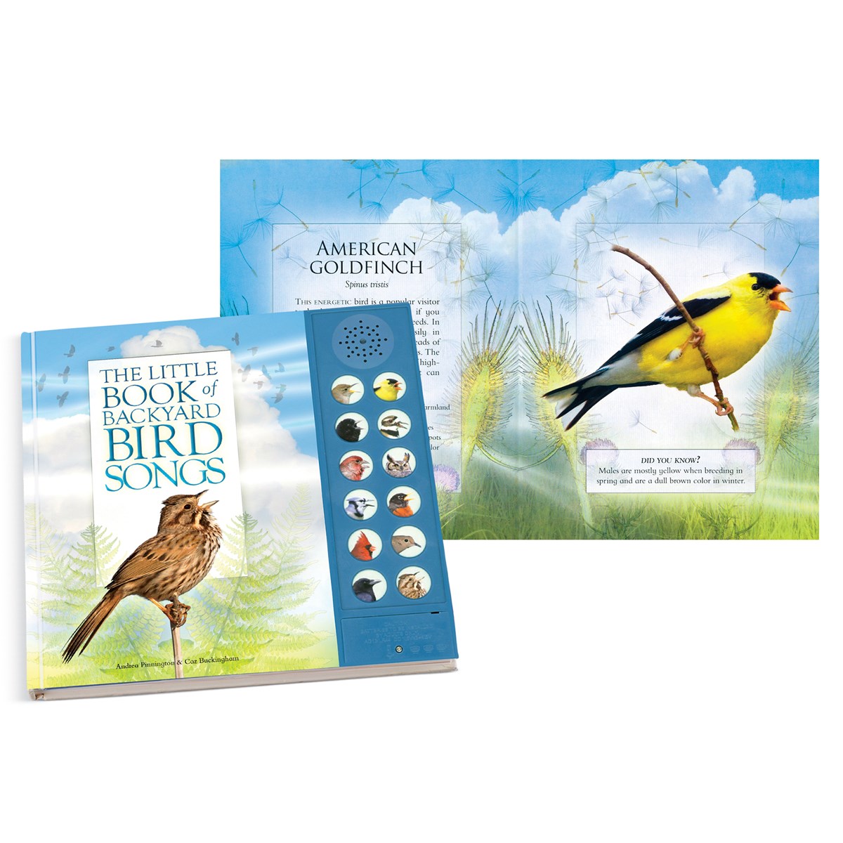 The Little Book of Backyard Bird Songs Illustrated Hardcover