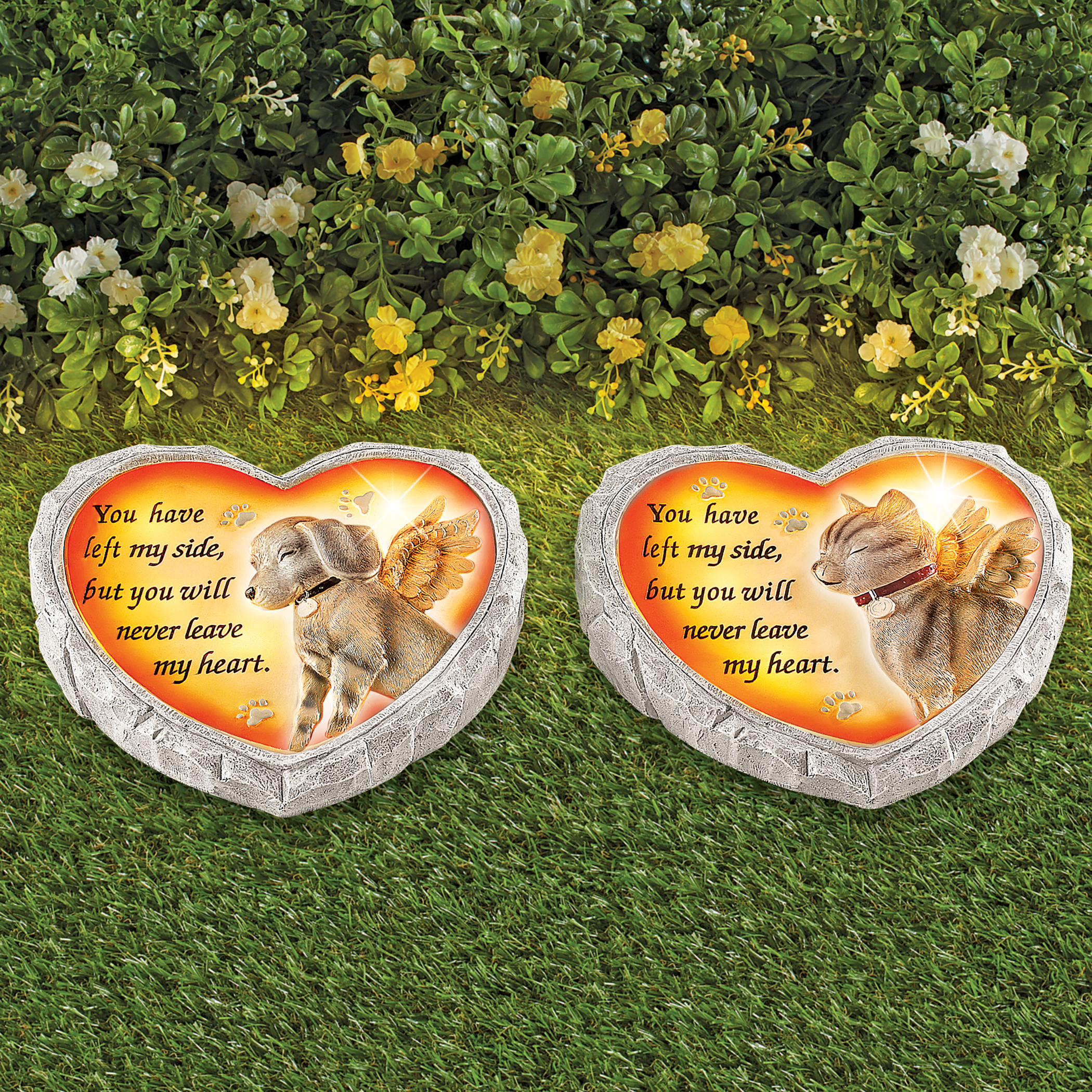 Why Does My Dog Never Leave My Side