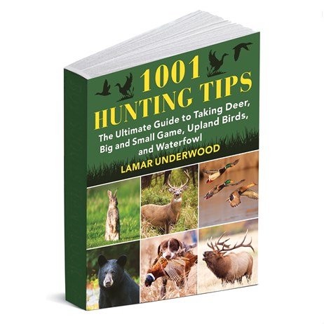 The Ultimate Guide to Birdwatching Techniques: Tips and Tricks.