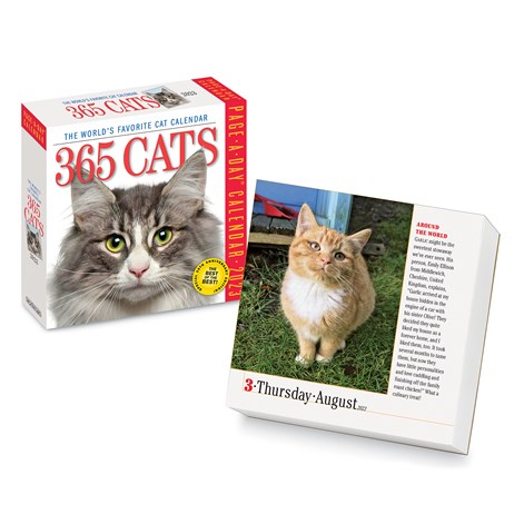 2023 Page-A-Day 365 Cats Desk Calendar | Collections Etc.